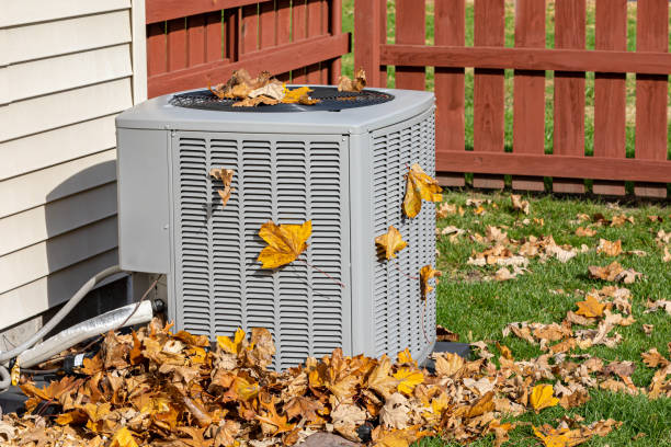 Best HVAC Air Duct Cleaning  in Whitesboro, AL